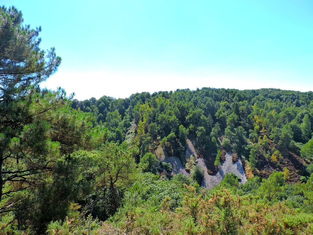 Gite Dans Les Alpes Mancelles Gesnes-le-Gandelin Экстерьер фото